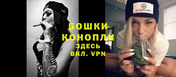 молекула духа Михайлов