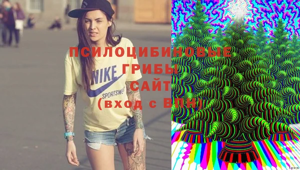 тгк Михайловск