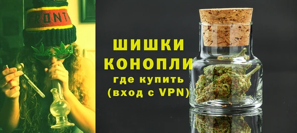 молекула духа Михайлов