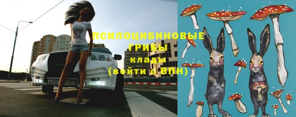 молекула духа Михайлов