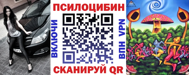 ОМГ ОМГ зеркало  Киселёвск  Псилоцибиновые грибы Magic Shrooms 