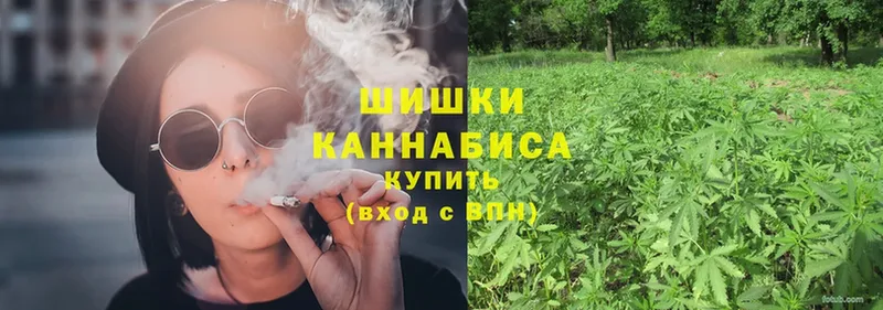 Шишки марихуана SATIVA & INDICA  OMG рабочий сайт  Киселёвск 